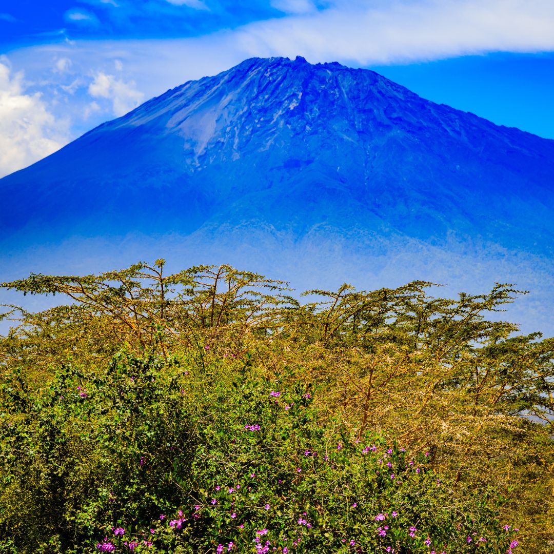 NosoroGSafaris mount meru1
