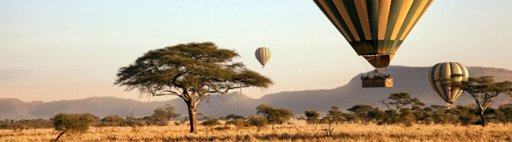 serengeti