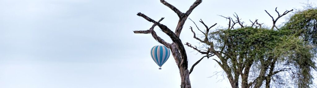 Serengeti balloon