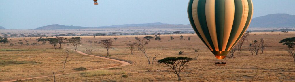 serengeti balloon