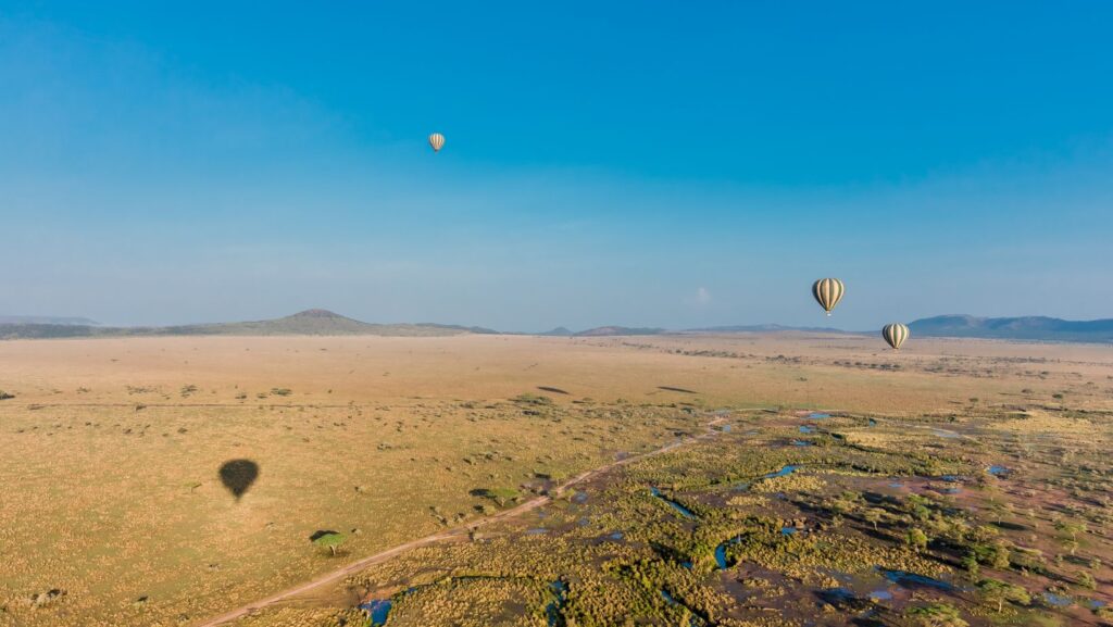 Serengeti balloon