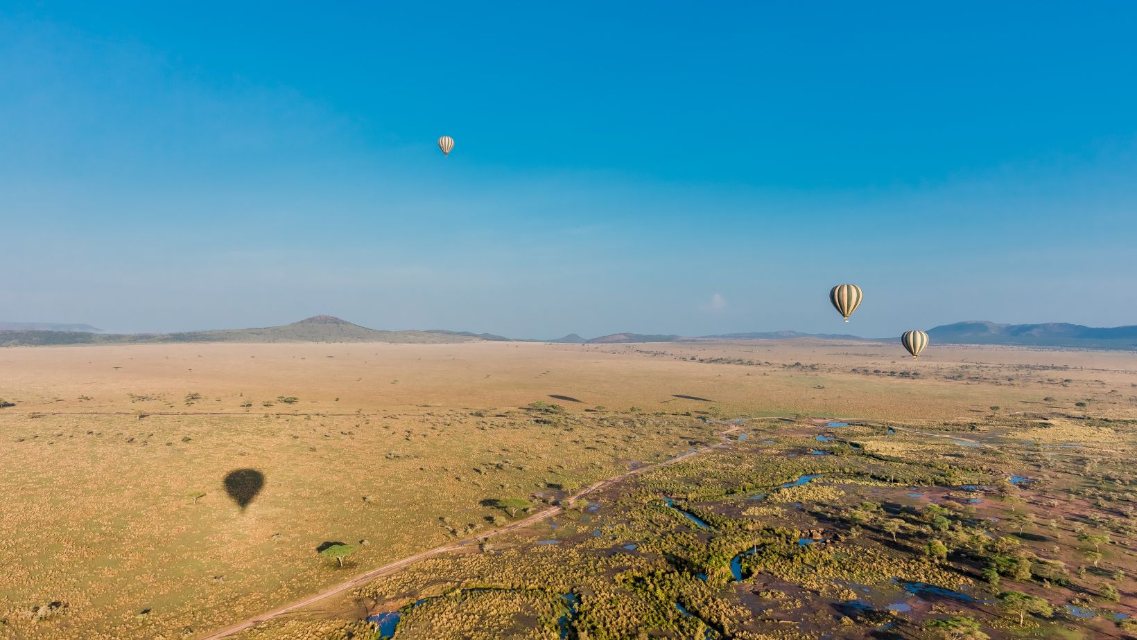 Serengeti balloon