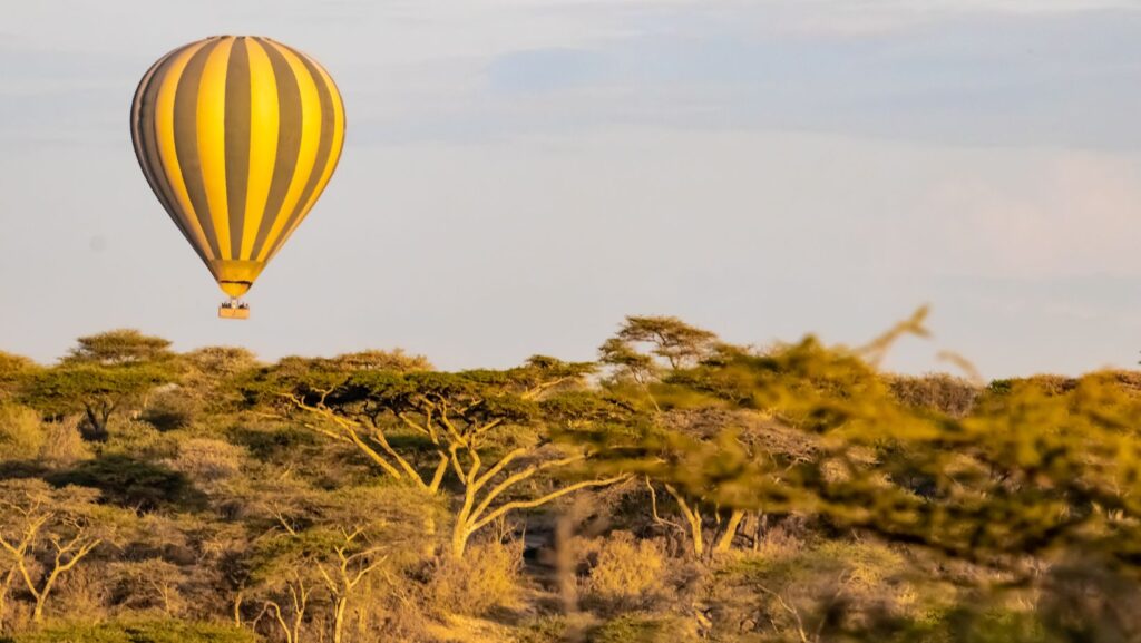 Serengeti balloon