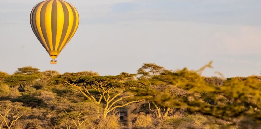Serengeti balloon