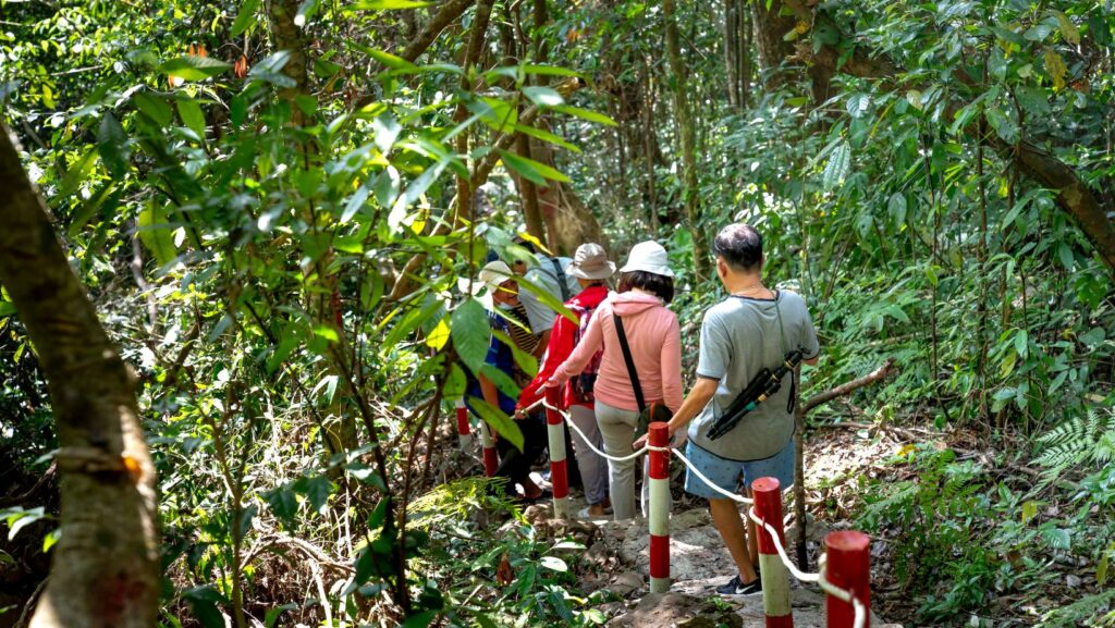 jozani forest tourists
