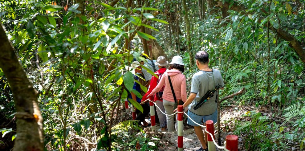 jozani forest tourists