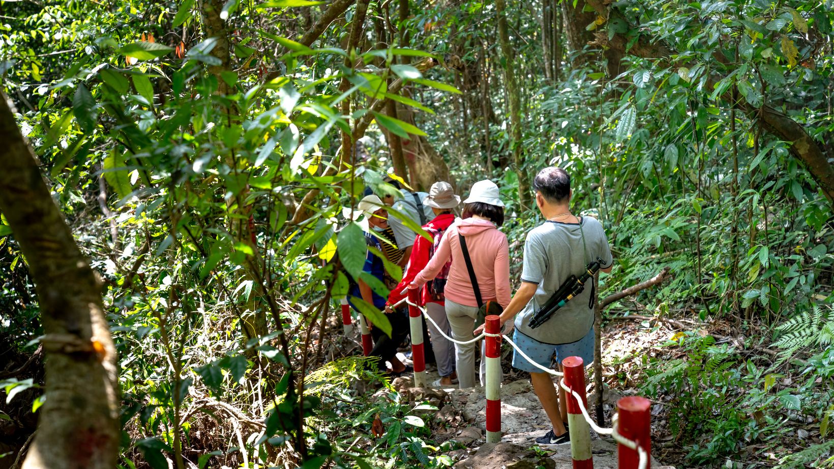 jozani forest tourists