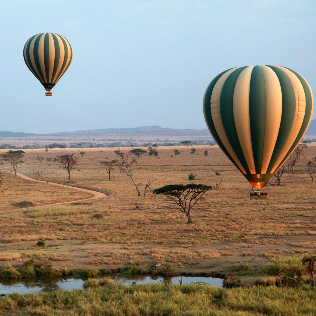 Serengeti ballon