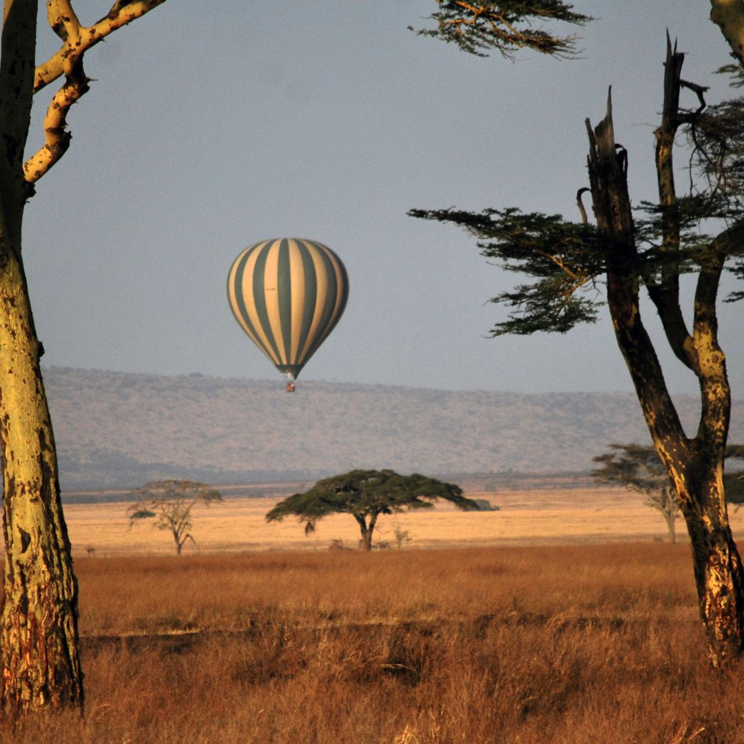 Serengeti balloon